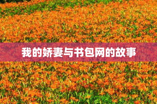 我的娇妻与书包网的故事