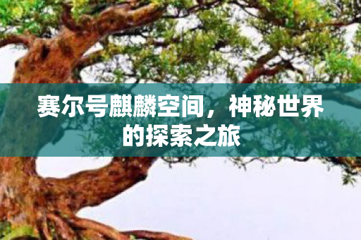 赛尔号麒麟空间，神秘世界的探索之旅