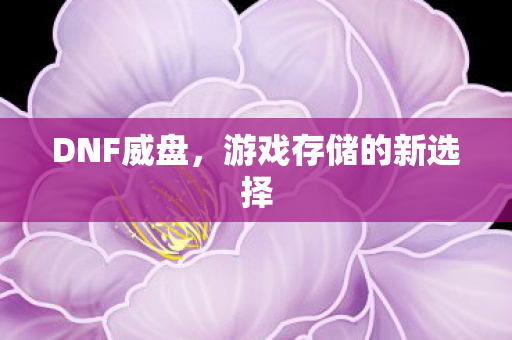 DNF威盘，游戏存储的新选择
