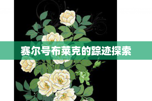 赛尔号布莱克的踪迹探索