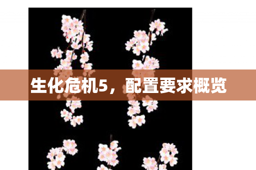 生化危机5，配置要求概览
