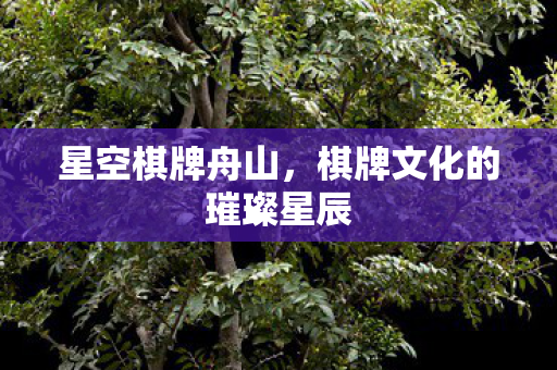 星空棋牌舟山，棋牌文化的璀璨星辰