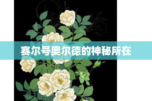 赛尔号奥尔德的神秘所在