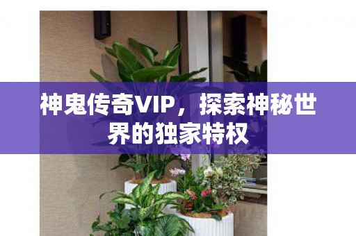 神鬼传奇VIP，探索神秘世界的独家特权