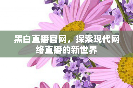 黑白直播官网，探索现代网络直播的新世界