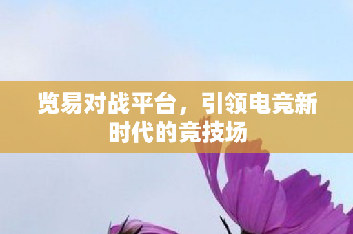 览易对战平台，引领电竞新时代的竞技场