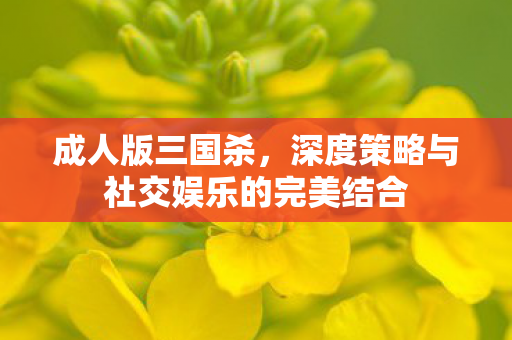 成人版三国杀，深度策略与社交娱乐的完美结合
