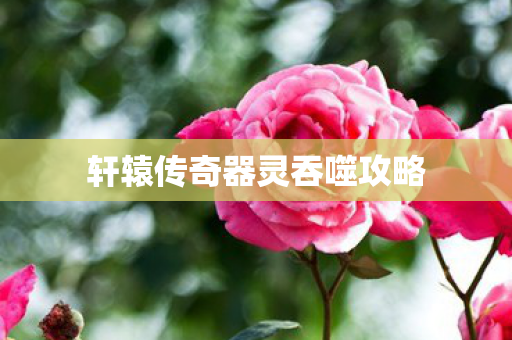 轩辕传奇器灵吞噬攻略