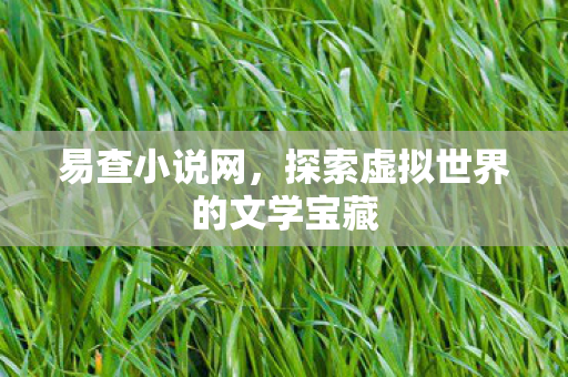 易查小说网，探索虚拟世界的文学宝藏