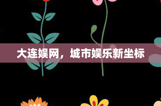 大连娱网，城市娱乐新坐标