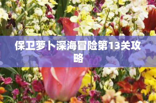 保卫萝卜深海冒险第13关攻略