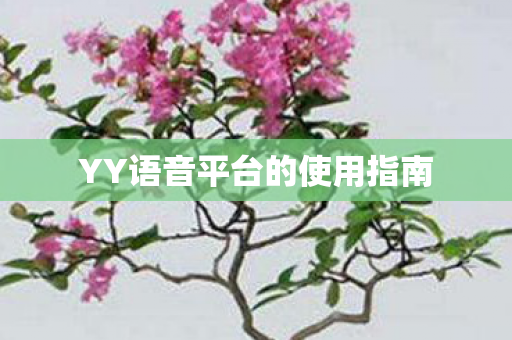 YY语音平台的使用指南