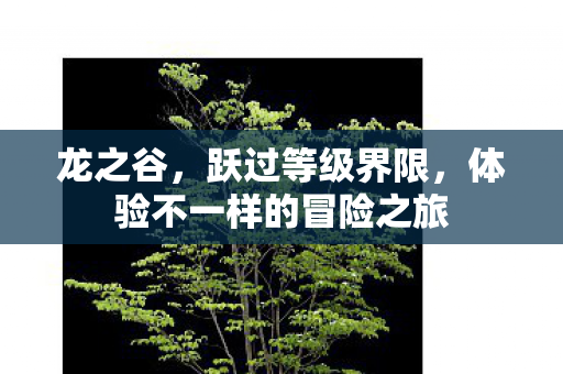 龙之谷，跃过等级界限，体验不一样的冒险之旅