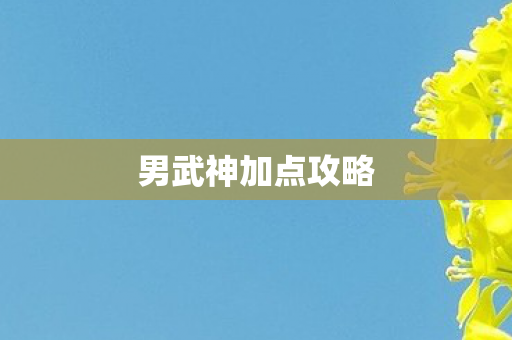 男武神加点攻略