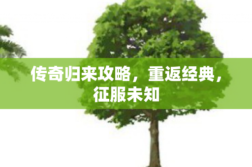 传奇归来攻略，重返经典，征服未知