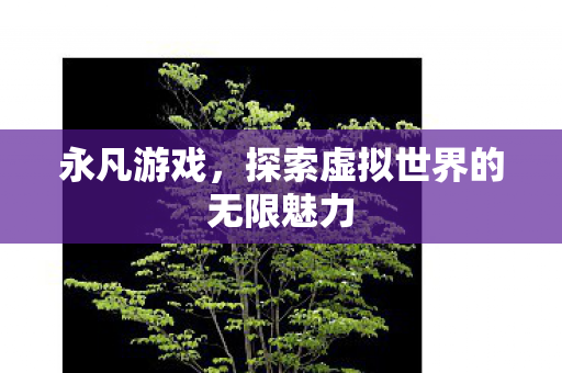 永凡游戏，探索虚拟世界的无限魅力