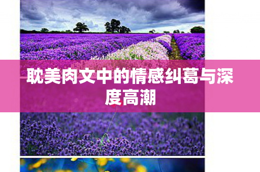 耽美肉文中的情感纠葛与深度高潮