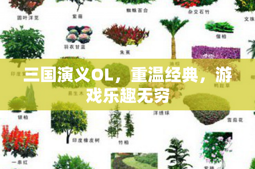 三国演义OL，重温经典，游戏乐趣无穷