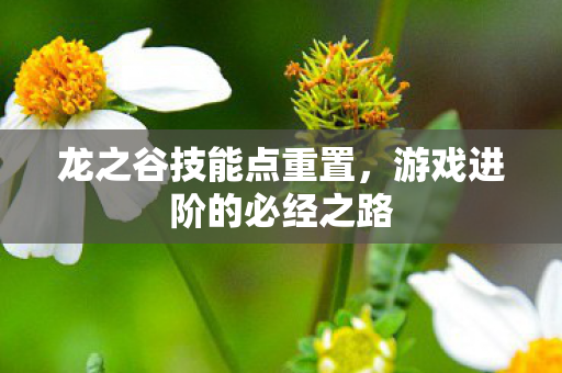 龙之谷技能点重置，游戏进阶的必经之路