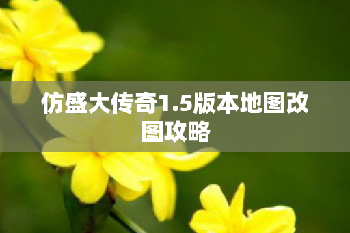 仿盛大传奇1.5版本地图改图攻略