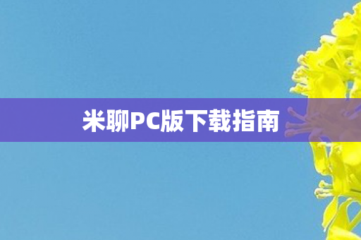 米聊PC版下载指南