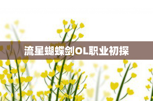 流星蝴蝶剑OL职业初探