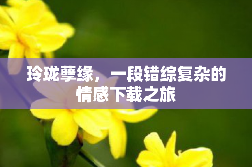 玲珑孽缘，一段错综复杂的情感下载之旅