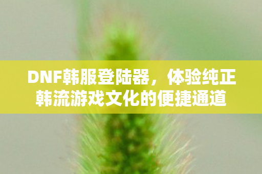 DNF韩服登陆器，体验纯正韩流游戏文化的便捷通道