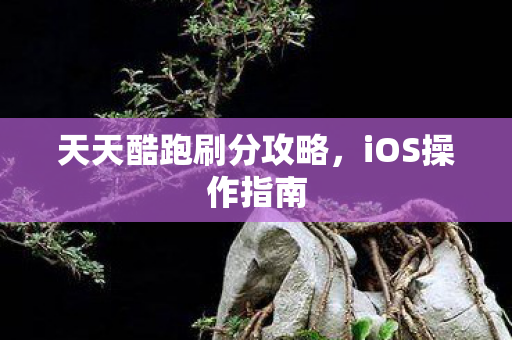 天天酷跑刷分攻略，iOS操作指南