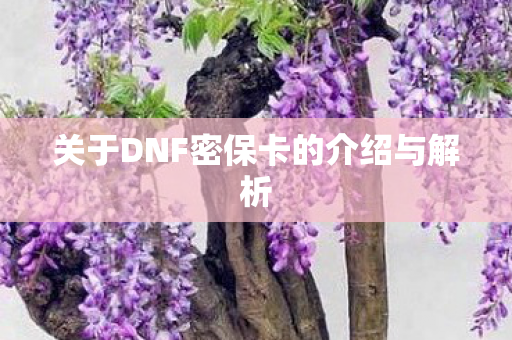 关于DNF密保卡的介绍与解析