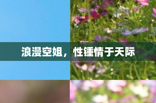 浪漫空姐，性锺情于天际