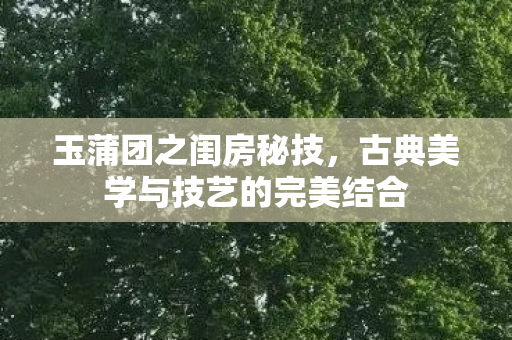 玉蒲团之闺房秘技，古典美学与技艺的完美结合