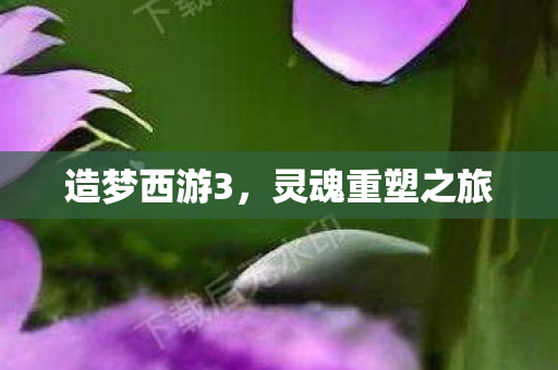 造梦西游3，灵魂重塑之旅