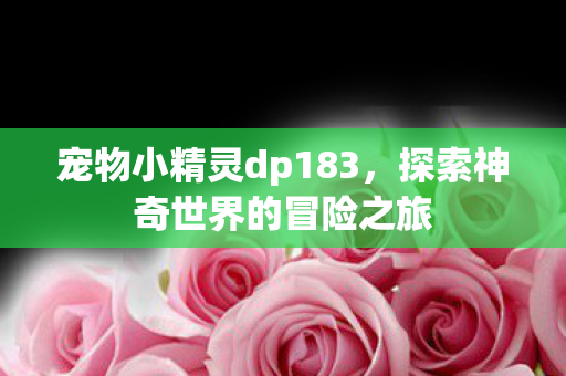 宠物小精灵dp183，探索神奇世界的冒险之旅