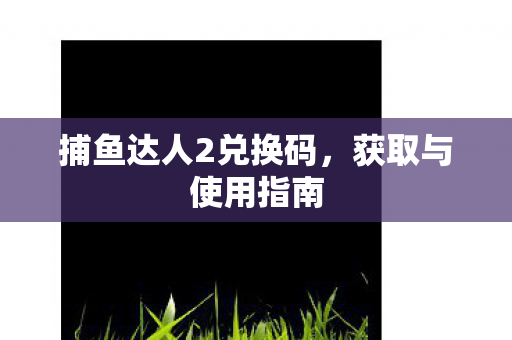 捕鱼达人2兑换码，获取与使用指南