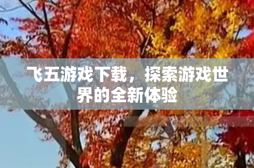 飞五游戏下载，探索游戏世界的全新体验