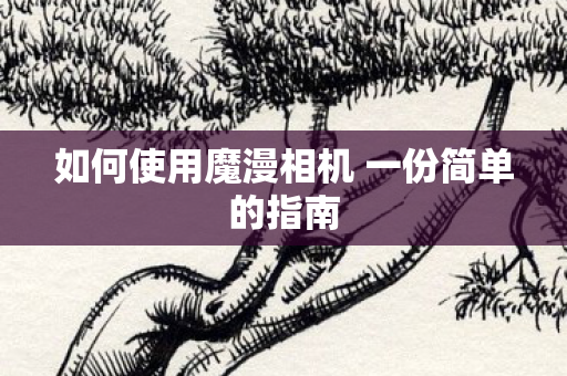 如何使用魔漫相机 一份简单的指南