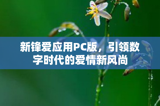 新锋爱应用PC版，引领数字时代的爱情新风尚