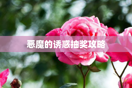 恶魔的诱惑抽奖攻略