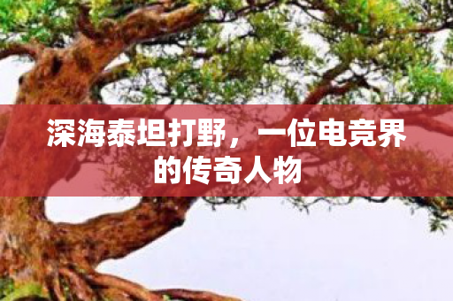 深海泰坦打野，一位电竞界的传奇人物