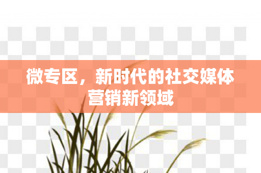 微专区，新时代的社交媒体营销新领域