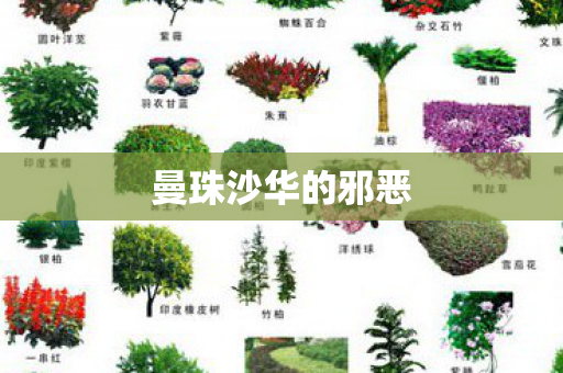 曼珠沙华的邪恶