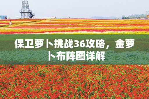 保卫萝卜挑战36攻略,金萝卜布阵图详解 保卫萝卜挑战36攻略,金萝卜布阵图详解