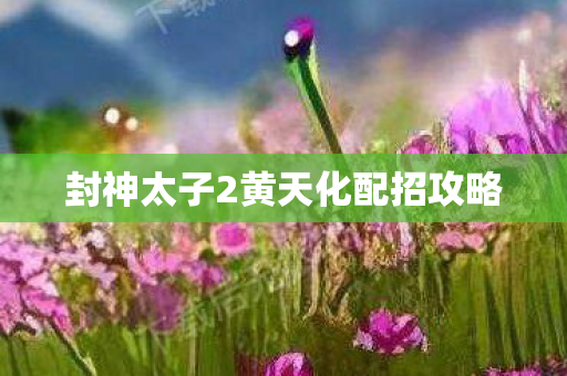 封神太子2黄天化配招攻略