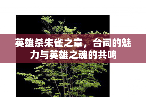 英雄杀朱雀之章，台词的魅力与英雄之魂的共鸣