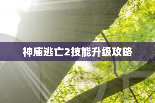 神庙逃亡2技能升级攻略