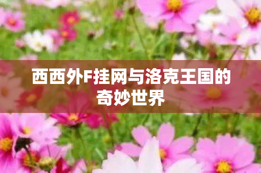 西西外F挂网与洛克王国的奇妙世界
