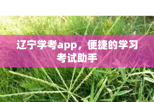 辽宁学考app，便捷的学习考试助手