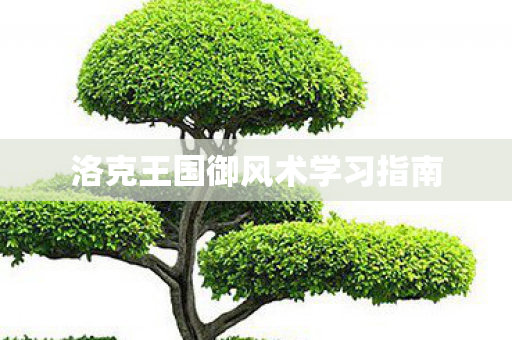 洛克王国御风术学习指南