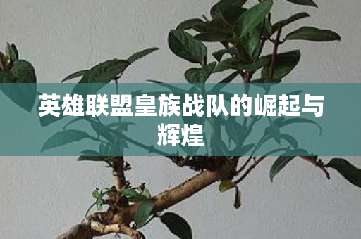 英雄联盟皇族战队的崛起与辉煌